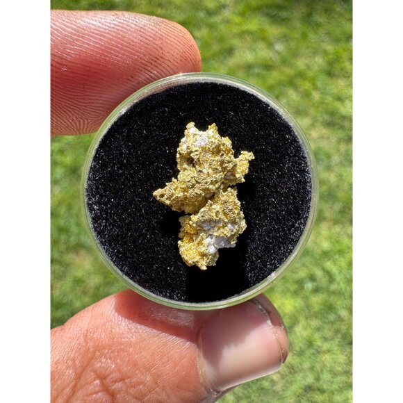 California Native Gold Crystal - 1.86 grams - Picture 2 of 7